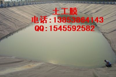 供应土工膜防水卷材图1