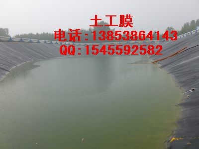 绿色环保无污染复合土工膜图1