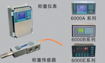 称重仪表 - 6105称重给料机图1