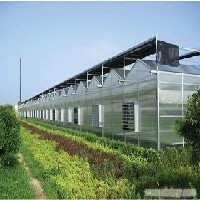 农业温室大棚厂家 农业温室大棚建造 农业温室大棚价格图1