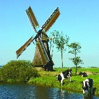 景观风车，荷兰风车