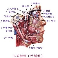 三叉神经痛的诊断标准图1