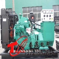 许昌柴油发电机组厂家 柴油发电机组价格图1