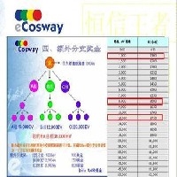 直销软件公司