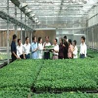培训蔬菜种植技术员