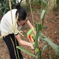 苏州沙漠掘金|苏州沙漠掘金训练 无锡高登咨询