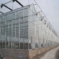 文洛型玻璃温室