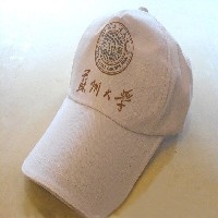 石家庄【信德菲】广告帽子厂家专业生产承接定做暑期热定中
