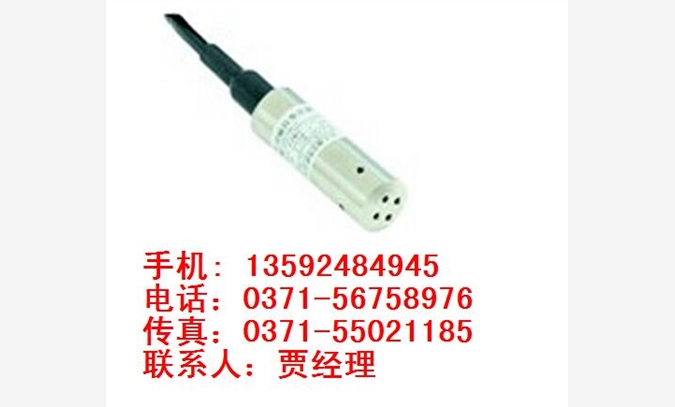 MPM4810，高温液位变送器，图1