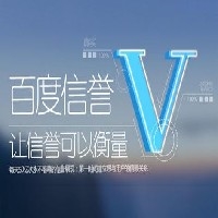 百度信誉v认证图1