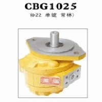 CBG齿轮油泵[CBG齿轮油泵厂家]青州华瑞液压件