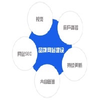 专业的网站策划与设计图1