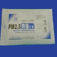 PM2.5防霾口罩