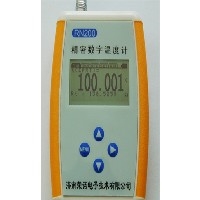 RN200精密数字温度计