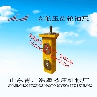 CBGJ高压双联齿轮油泵图1