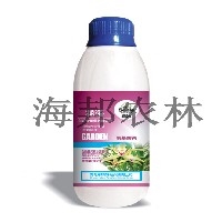 兰花专用营养催芽液