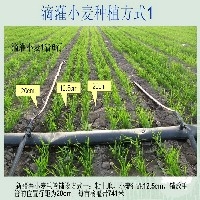 山东农业节水灌溉设备价格  节水灌溉技术  山东天一管业图1