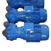 SK-1.3B水环式真空泵