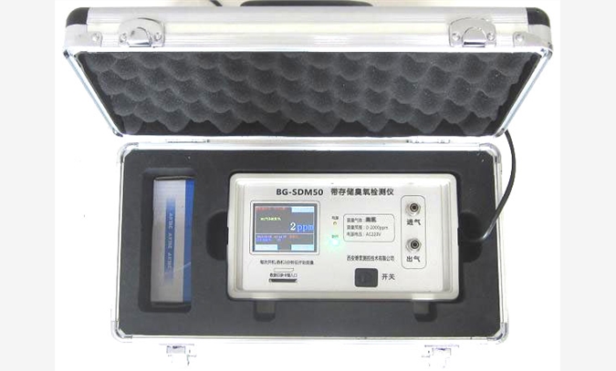 泵吸式氧气分析仪