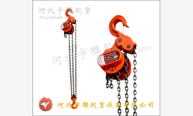 爬架电动葫芦生产厂家-群吊环链电