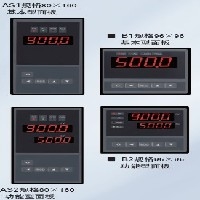 XSB2力值顯示控制儀