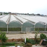 花卉温室大棚建造/花卉温室大棚建设-青州和顺机械