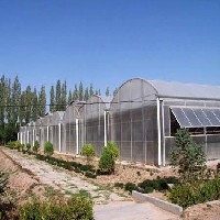 玻璃智能阳光板温室建造  【最实惠】的玻璃阳光板温室