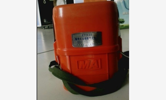 六盘水ZYX30压缩氧自救器质量图1