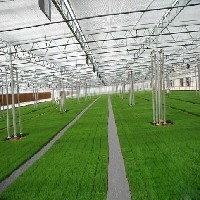蔬菜温室大棚建造||温室大棚专用材料||金威温室