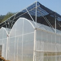 农业温室大棚建造||山东农业温室大棚建造价格||金威