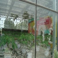 高档玻璃温室图1
