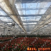 花卉温室大棚
