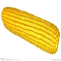 玉米收购