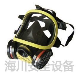 防毒面具,全面罩防毒面罩图1