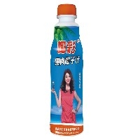 椰彩蓝瓶--500g果肉椰汁