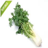 绿色蔬菜图1