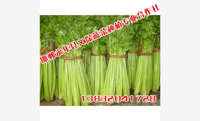 广州有机蔬菜【义保蔬菜】有机蔬菜图1