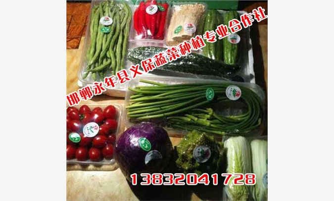 湖北有机蔬菜【义保蔬菜】超市蔬菜