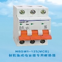 NBSM1-125智能集成电容器断路器