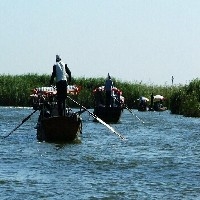 游湖   在哪游湖好  游湖多少錢 白洋淀聚荷園游湖