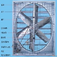 潍坊冷风机-冷风机厂家-花卉冷风机价格