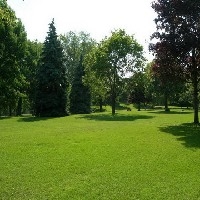 草坪绿化