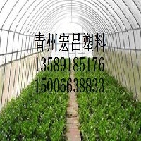 双防膜-大棚膜-双防膜价格-双防膜生产