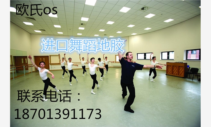 舞蹈教室地板/专业舞蹈教室地板/