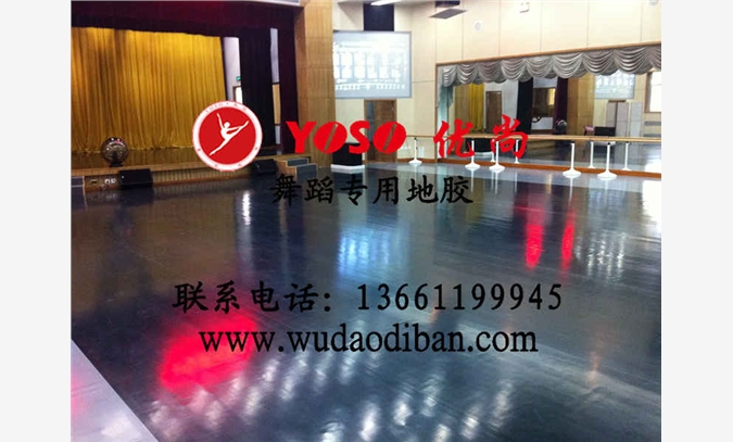 湖南郴州PVC专业舞蹈教室地胶