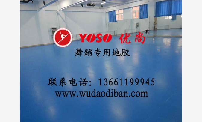河南安阳PVC舞蹈专用地板