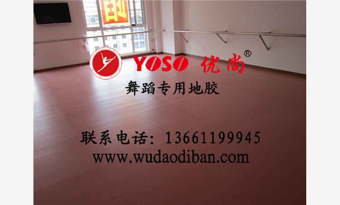 河南濮阳PVC舞蹈教室地板