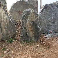 福建泰山石厂家 园林摆放的泰山石如何选购 金豆园林最专业图1