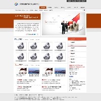 沧州网站优化图1