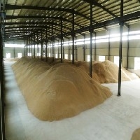 河南有口碑的小麦收购厂家  诚亿粮贸供应优质小麦图1